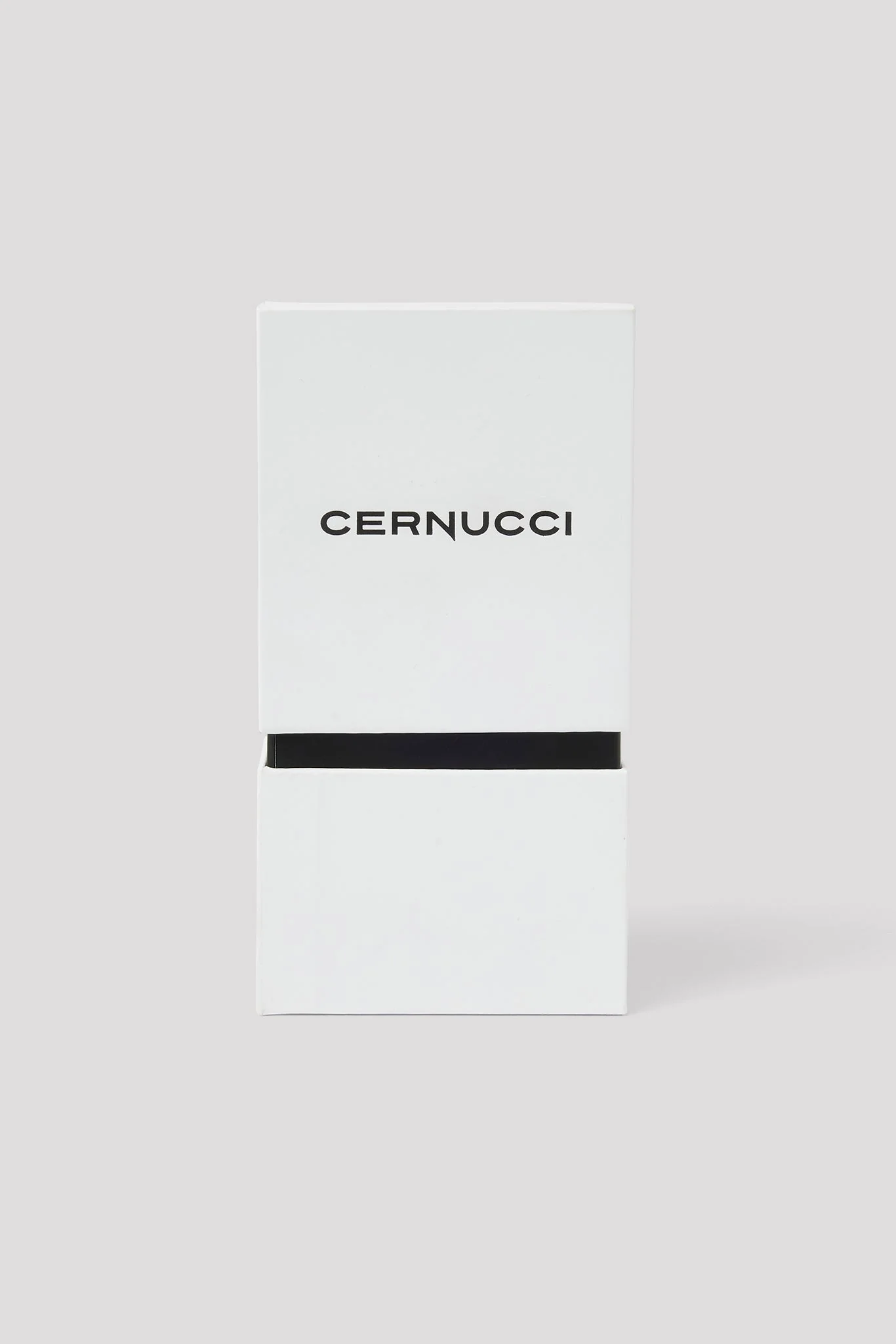 Cernucci Jewellery Cleaning Kit - Image 3