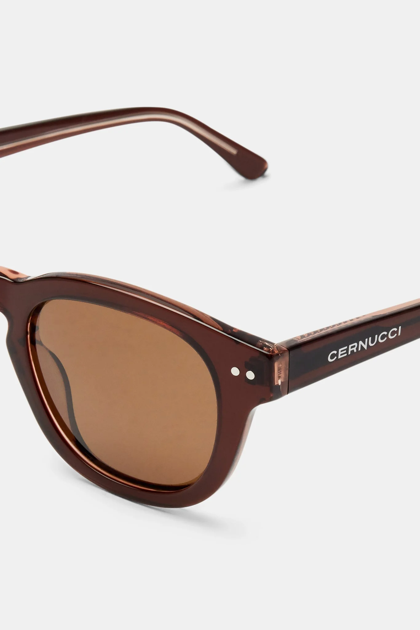 Chunky Rounded Acetate Frame Sunglasses - Brown - Image 3