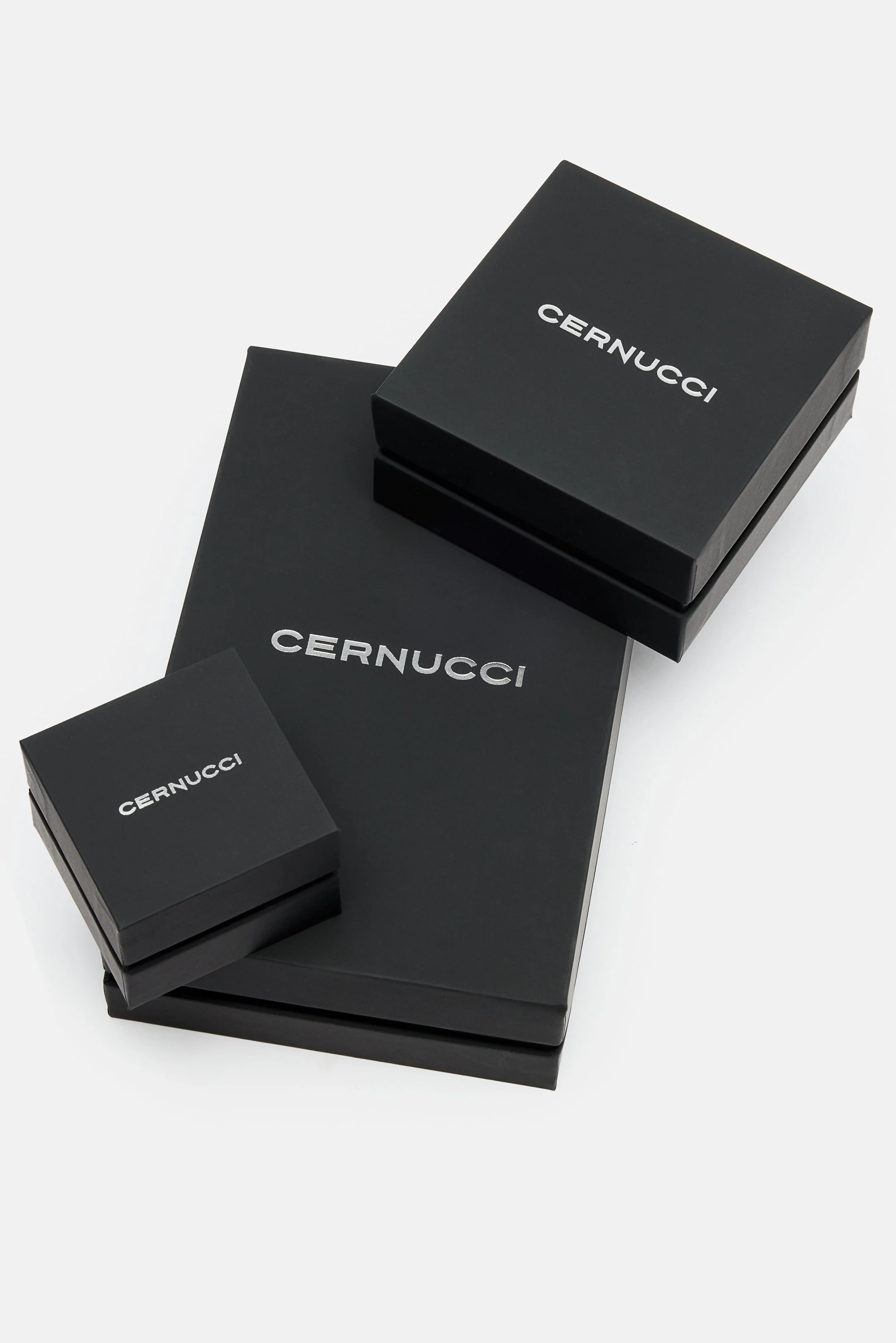 LARGE PREMIUM CERNUCCI BOX - Image 5