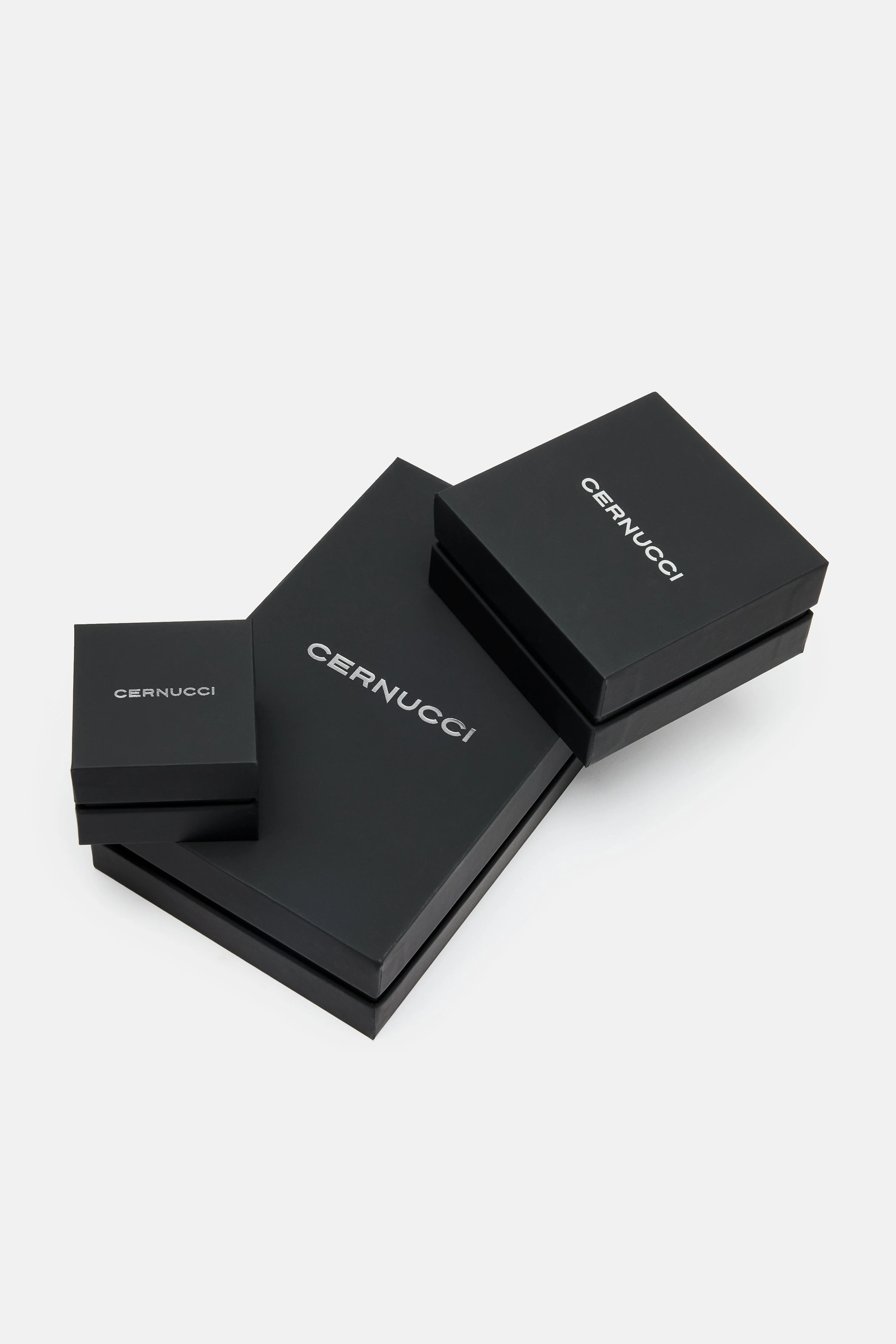 MEDIUM PREMIUM CERNUCCI BOX - Image 4