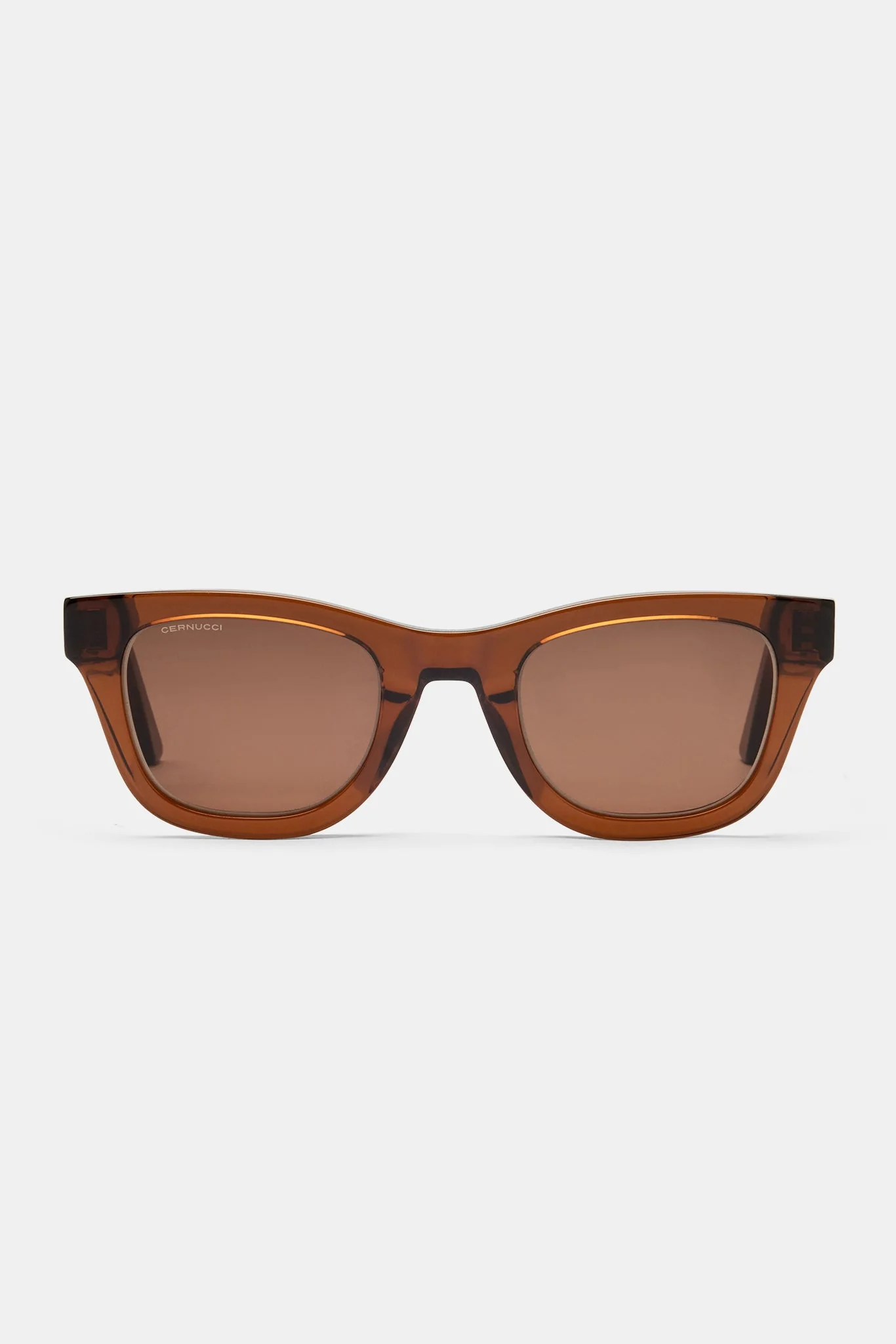 Rounded Square Acetate Frame Sunglasses - Brown - Image 5